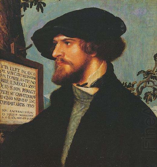 Portrait of Bonifacius Amerbach, Hans holbein the younger